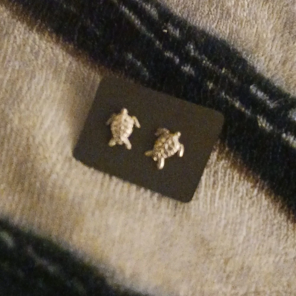 Vintage Turtle Earrings